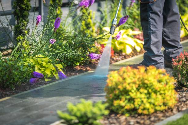 Best Pre-Holiday Cleaning  in Spring Ridge, MD